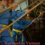 Vovinam In Vietnam