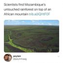 Mozambique untouched rainforest